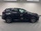 2024 Lexus NX 250