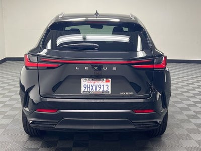 2024 Lexus NX 250