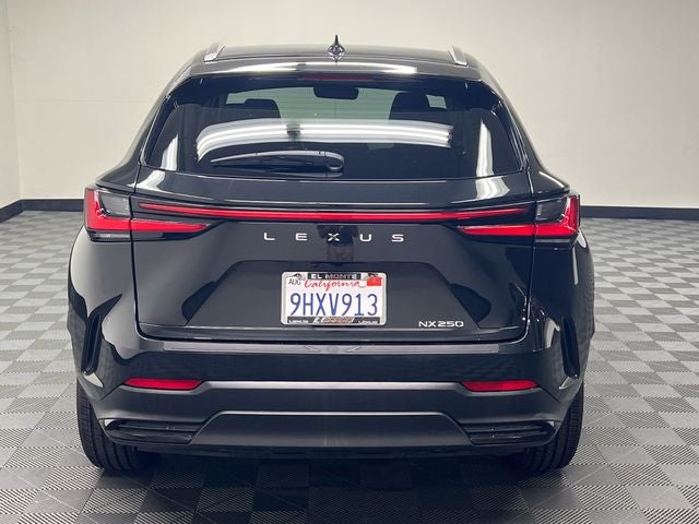 2024 Lexus NX 250