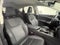2023 Lexus NX 250