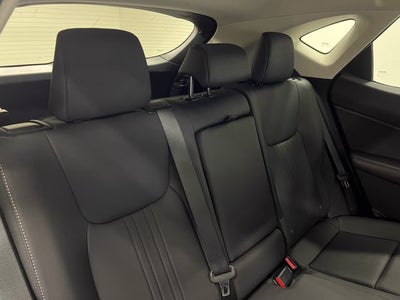 2023 Lexus NX 250