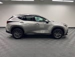 2023 Lexus NX 250