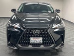 2025 Lexus NX 250