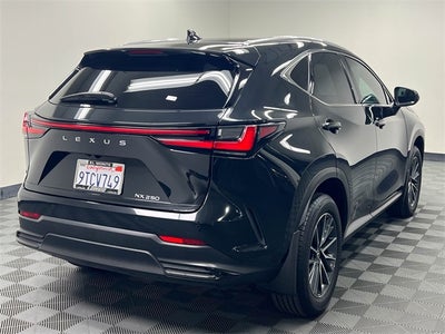 2025 Lexus NX 250