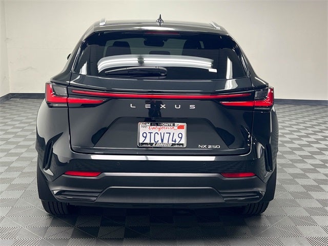 2025 Lexus NX 250