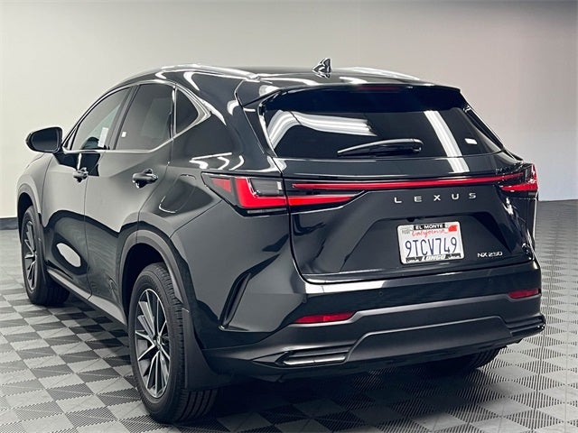 2025 Lexus NX 250