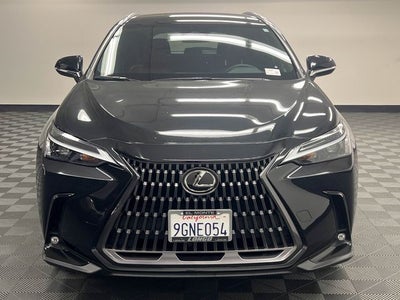 2024 Lexus NX 250