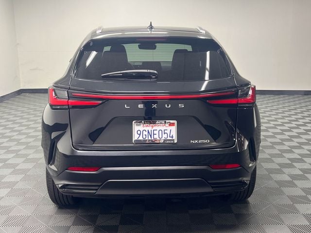 2024 Lexus NX 250