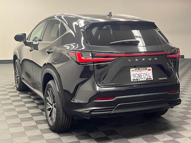 2024 Lexus NX 250