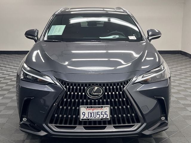 2024 Lexus NX 250