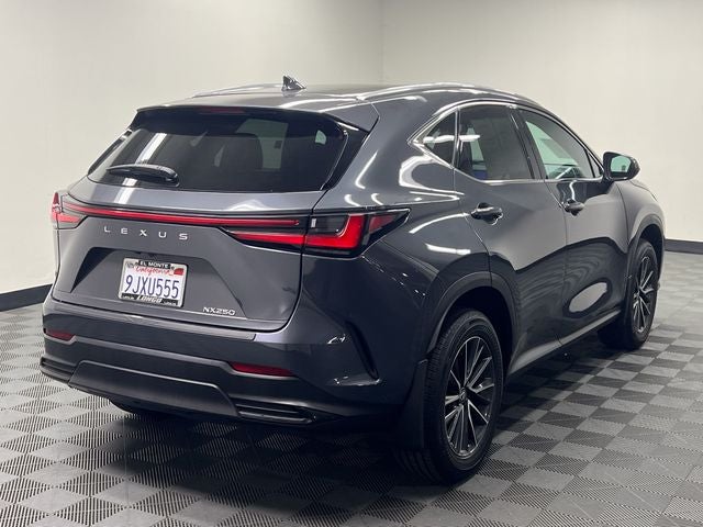 2024 Lexus NX 250