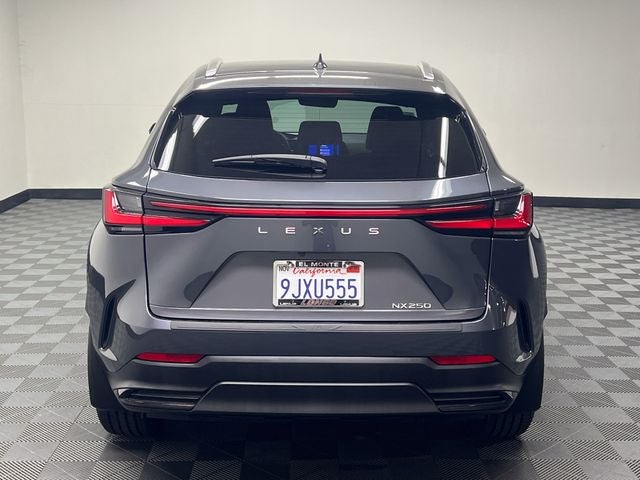 2024 Lexus NX 250
