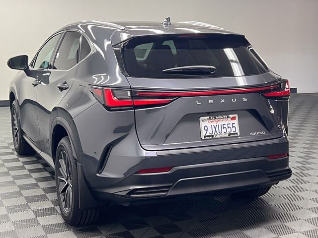2024 Lexus NX 250