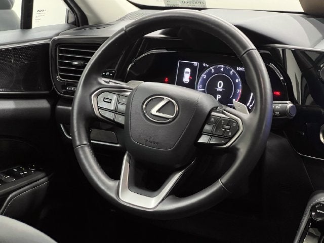 2024 Lexus NX 250