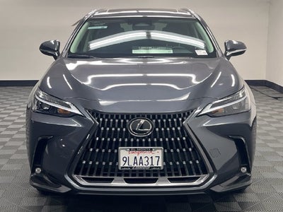 2024 Lexus NX 250