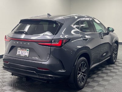 2024 Lexus NX 250