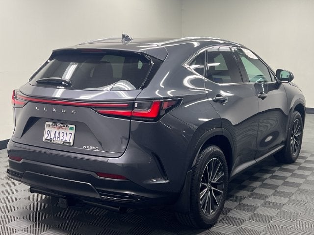 2024 Lexus NX 250
