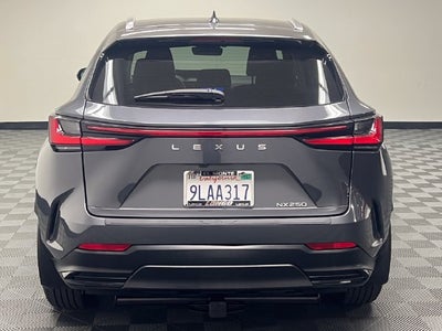 2024 Lexus NX 250