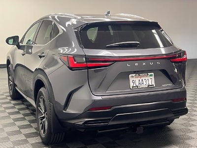 2024 Lexus NX 250