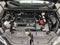 2025 Lexus NX 250
