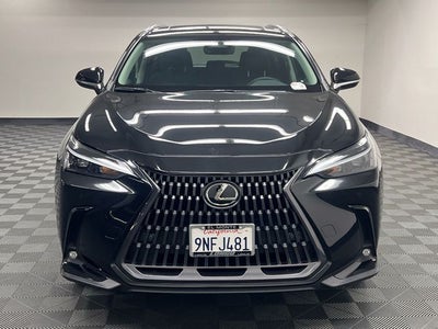 2025 Lexus NX 250