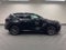 2025 Lexus NX 250