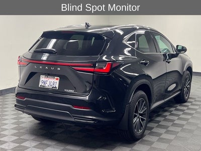 2025 Lexus NX 250