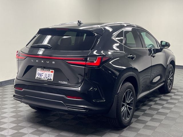 2025 Lexus NX 250