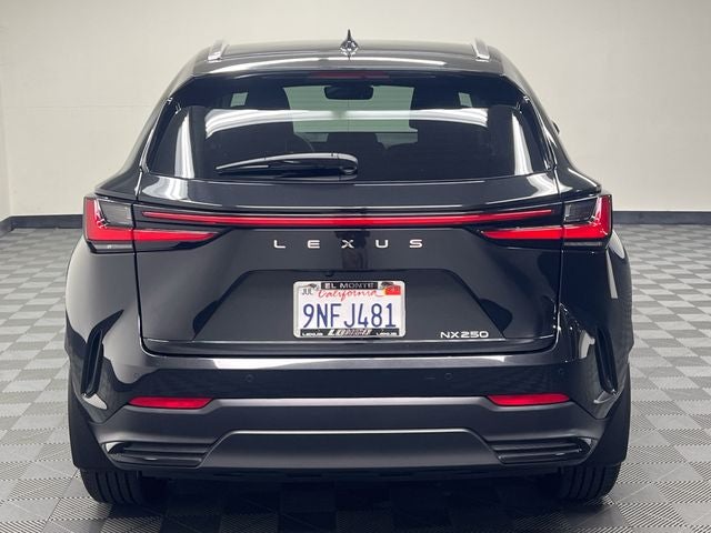 2025 Lexus NX 250