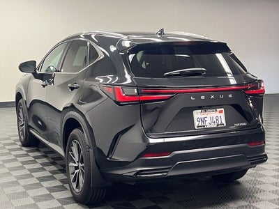 2025 Lexus NX 250