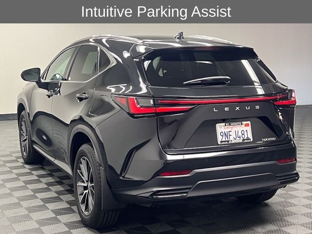 2025 Lexus NX 250