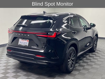 2024 Lexus NX 250