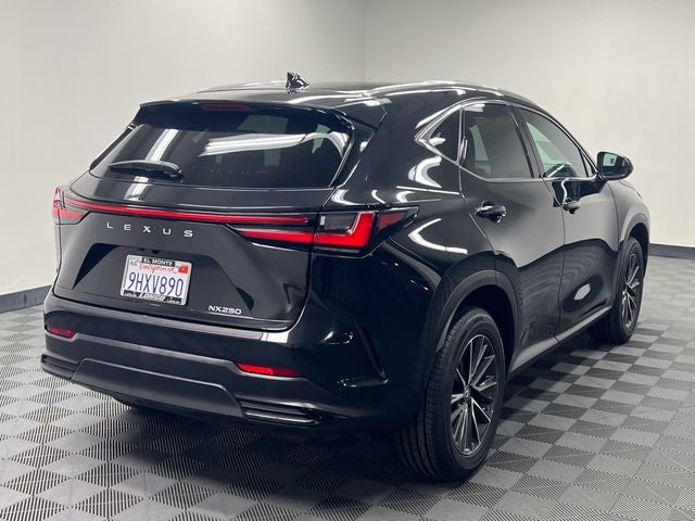2024 Lexus NX 250