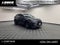 2025 Lexus NX 250