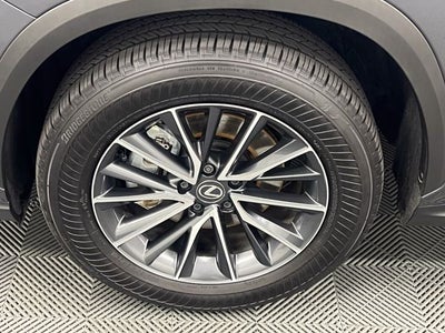 2025 Lexus NX 250