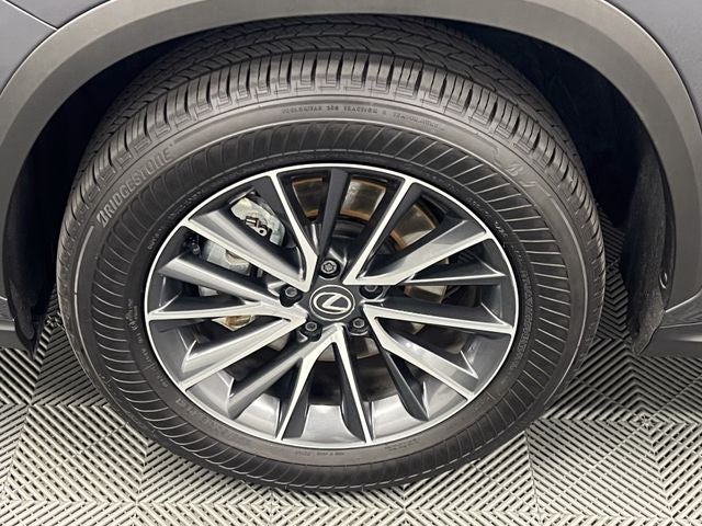 2025 Lexus NX 250