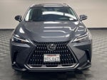 2025 Lexus NX 250