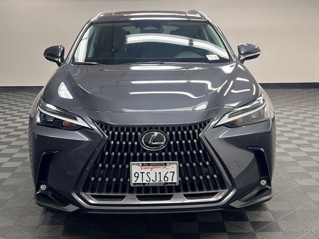2025 Lexus NX 250