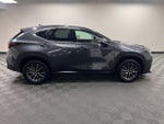 2025 Lexus NX 250