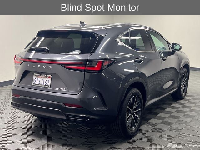 2025 Lexus NX 250