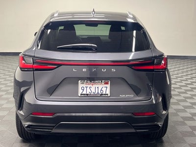 2025 Lexus NX 250