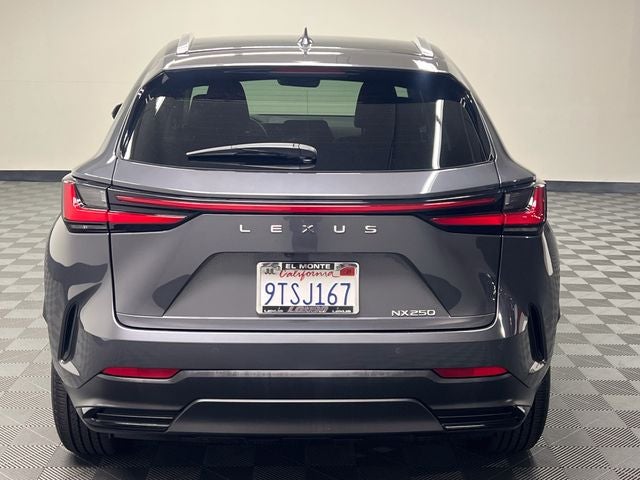 2025 Lexus NX 250