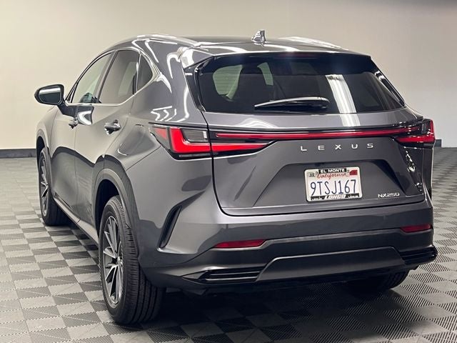 2025 Lexus NX 250