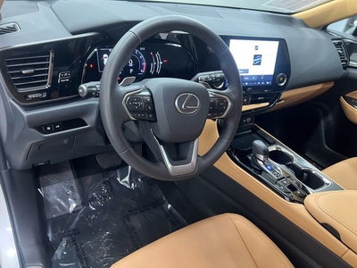 2025 Lexus NX 250