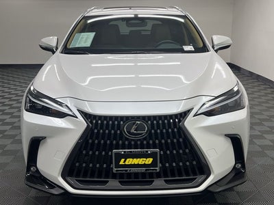 2025 Lexus NX 250