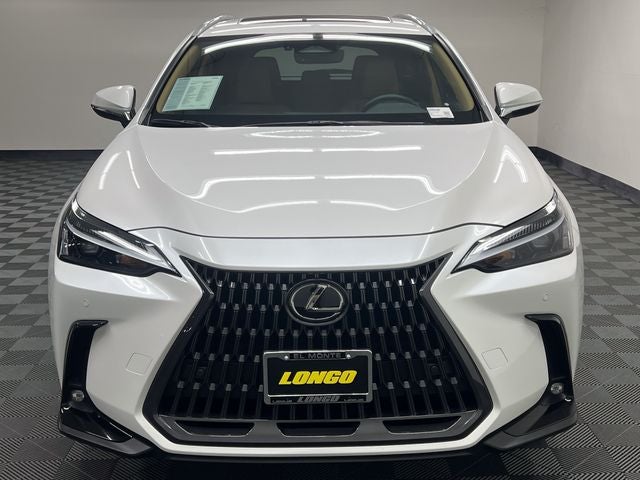 2025 Lexus NX 250