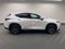 2025 Lexus NX 250