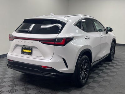 2025 Lexus NX 250