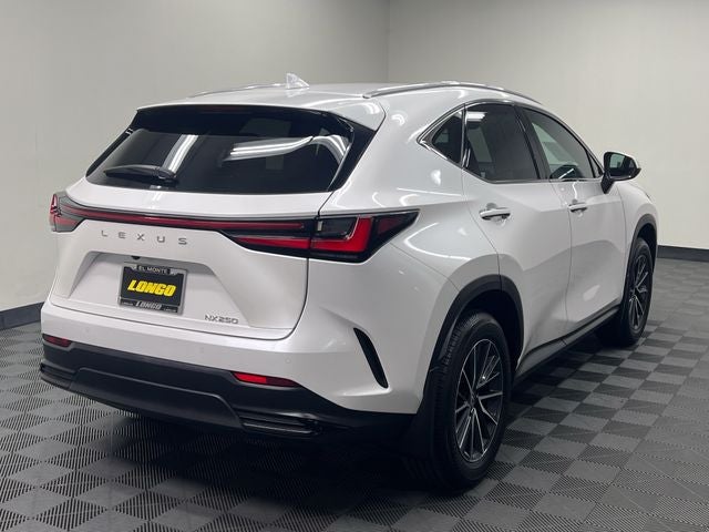 2025 Lexus NX 250