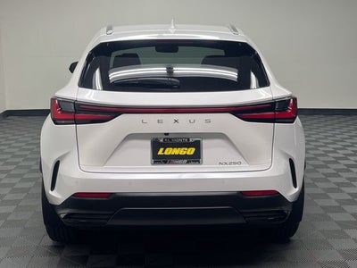 2025 Lexus NX 250